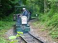 main-line-listers-59