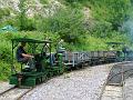main-line-listers-66